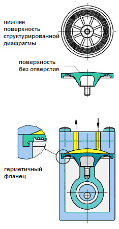     KNF  ()