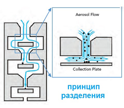    (ACI)